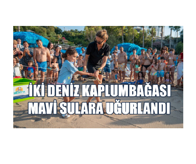 Kara: Yuvalama Kumsallarındaki Uyarı Levhalarını Dikkate Almalıyız