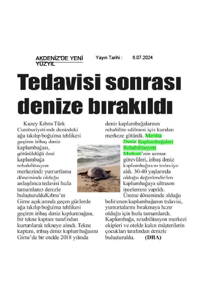 Deniz Kaplumbağası Tedavi edilip denizlere bırakıldı