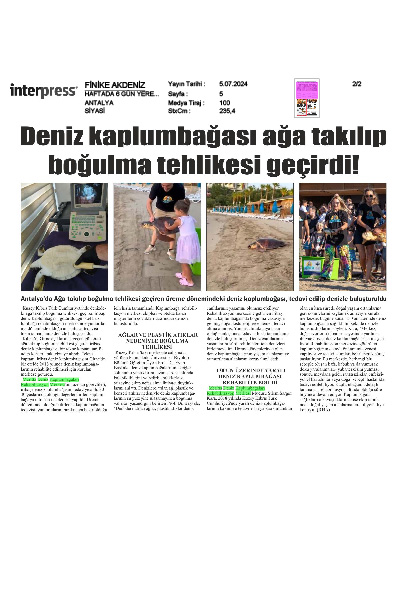 Deniz Kaplumbağası Tedavi edilip denizlere bırakıldı