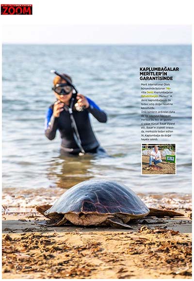 Kaplumbağalar Meritler'in Garantisinde