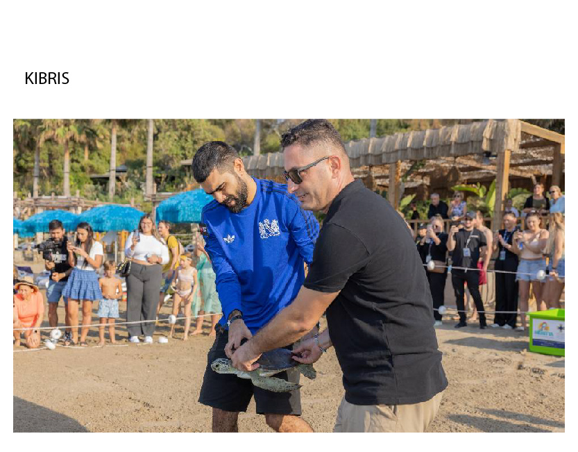 Bal ve Aydeğer Mavi Özgürlüğe Uğurlandı