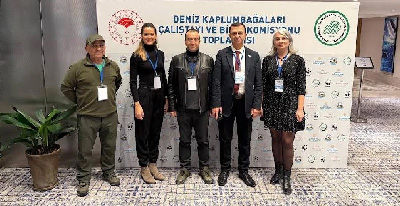 Meritta Deniz Kaplumbağaları Çalıştayı