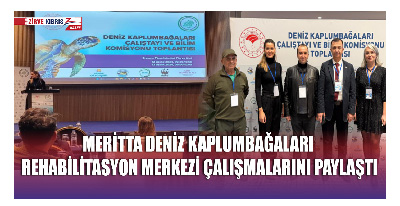 Meritta Deniz Kaplumbağaları Çalıştayı
