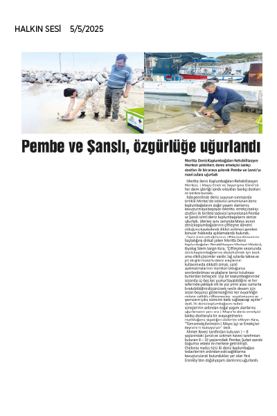 Pembe ve Şanslı Mavi Sulara Uğurlandı