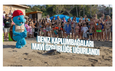 Meritta'dan 16 Haziran Dünya Deniz Kaplumbağaları günü mesajı