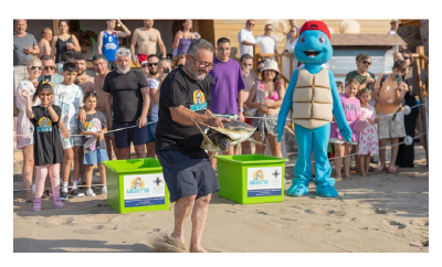 “Yuva koruma ve rehabilitasyon çalışmaları sayesinde deniz kaplumbağası popülasyonunun arttığı tespit edildi” Kaynak: “Yuva koruma ve rehabilitasyon çalışmaları sayesinde deniz kaplumbağası popülasyonunun arttığı tespit edildi” 