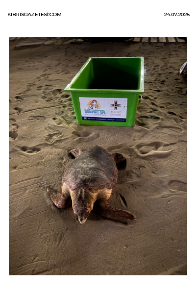 YUMURTLAMA DÖNEMİNDE OLAN “ŞANSLI”, MERİTTA İLE YENİDEN HAYATA TUTUNDU 