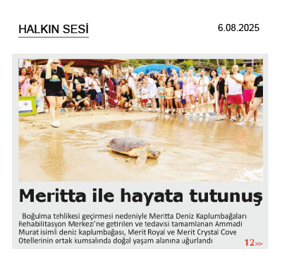 Meritta Deniz Kaplumbağaları Rehabilitasyon Merkezi 4'üncü çalıştayını düzenledi