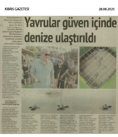 Yavru kaplumbağalar yaşama ilk adımlarını Merit kumsalında attı