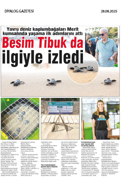 Yavru Kaplumbağalar yaşama ilk adımlarını Merit Kumsalında attı