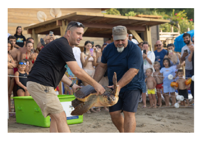 MERİTTA İLE BUGÜNE KADAR 170 DENİZ KAPLUMBAĞASI HAYATA YENİDEN MERHABA DEDİ 