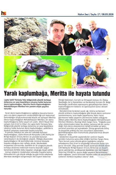 Yaralı Deniz Kaplumbağası Meritta ile Hayata Tutundu