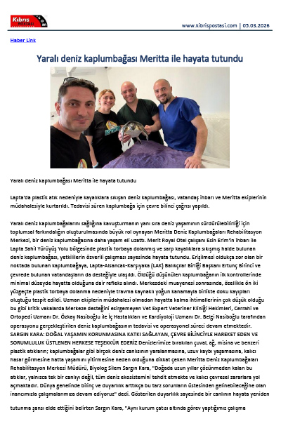 Yaralı Deniz Kaplumbağası Meritta ile Hayata Tutundu