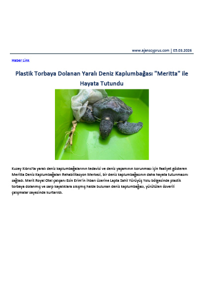 Yaralı Deniz Kaplumbağası Meritta ile Hayata Tutundu