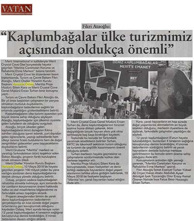 Kaplumbağalar ülke turizmimiz açısından oldukça önemli