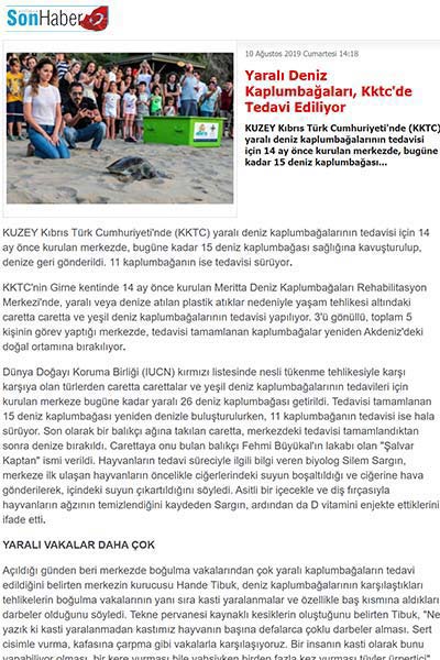 Yaralı Deniz Kaplumbağaları, KKTC'de Tedavi Ediliyor