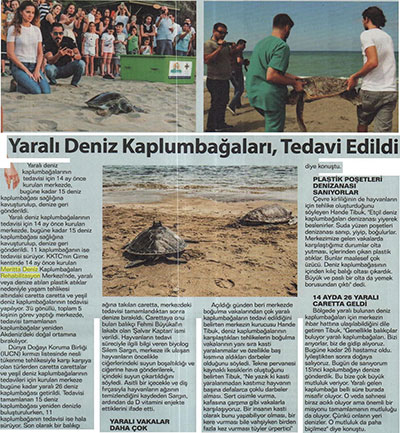 Yaralı Deniz Kaplumbağaları Tedavi Edildi