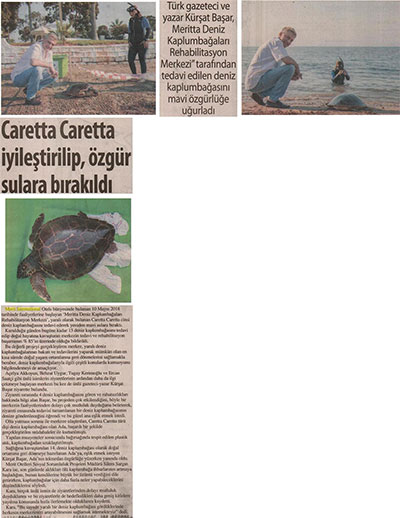 Caretta Caretta iyileştirilip, özgür sulara bırakıldı