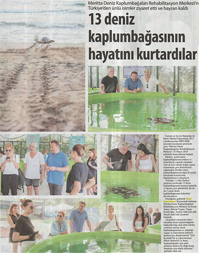 13 Deniz kaplumbağasının hayatını kurtardılar