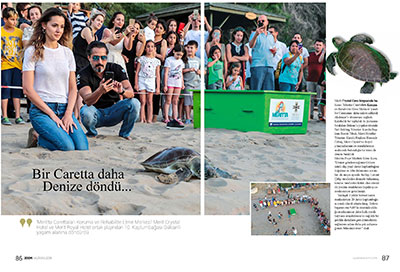 Bir Caretta Caretta Daha Denize Döndü