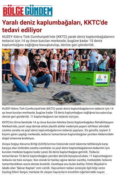 Yaralı deniz kaplumbağaları, KKTC'de tedavi ediliyor